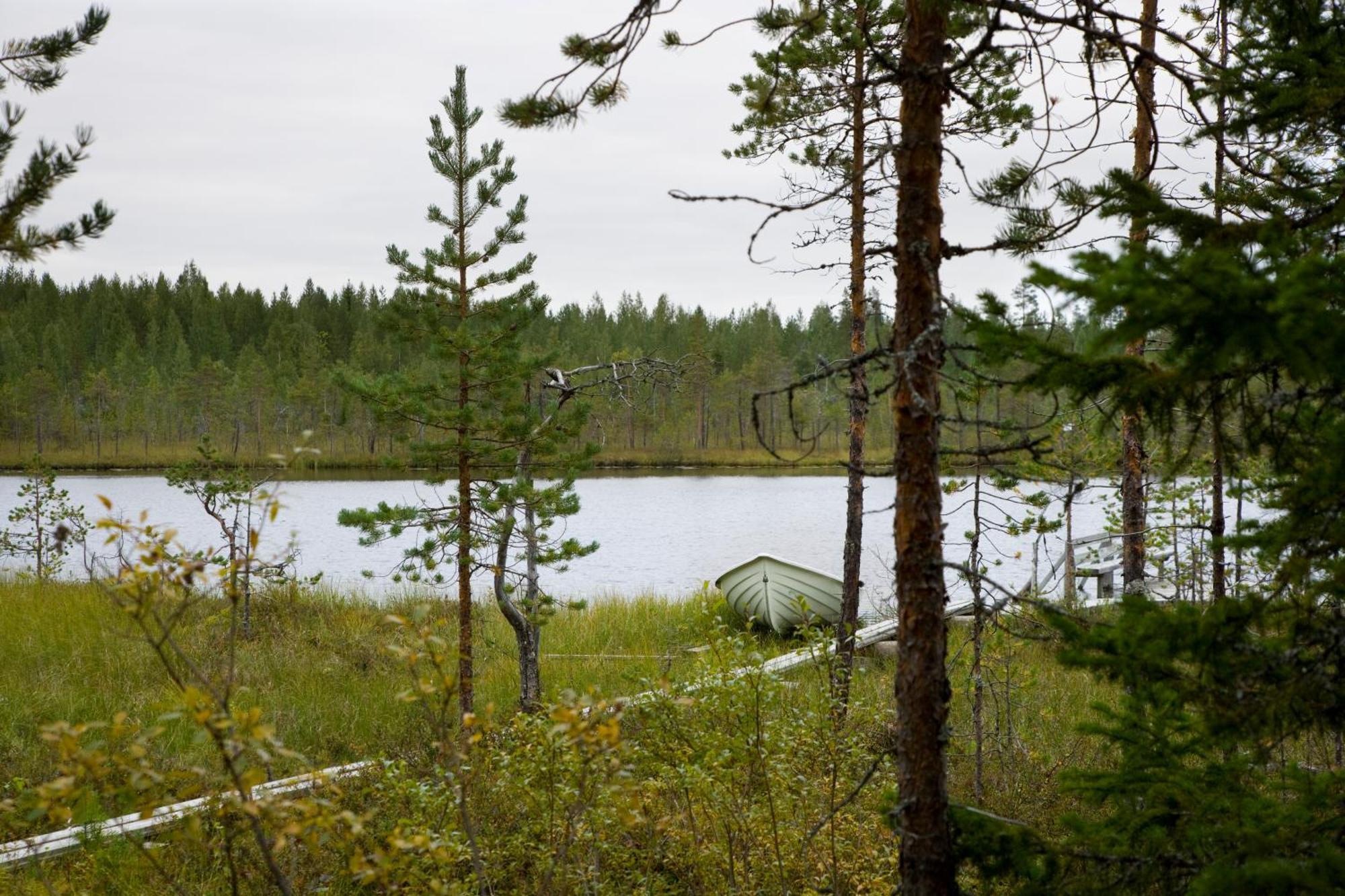 Ukonloma Haerkaelampi Villa Rovaniemi Bagian luar foto