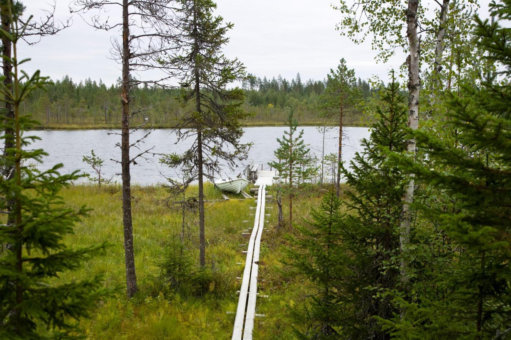 Ukonloma Haerkaelampi Villa Rovaniemi Bagian luar foto
